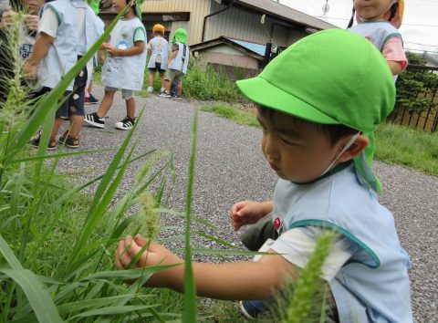 ぺんぎん　窪田　たのしい散歩