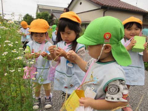 ぺんぎん組　窪田　さんぽたのしい
