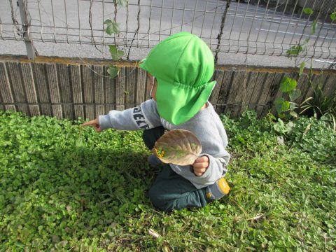 ぺんぎん組　窪田　おはなみつけたよ！